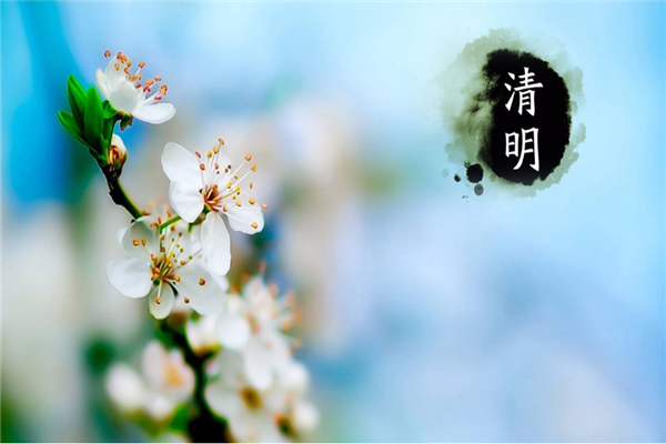 金彩汇五分快三喷塑设备厂家 | 清明时节哀思中蕴含着希望