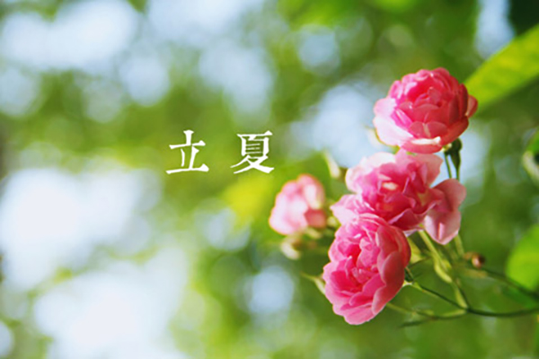金彩汇五分快三涂装|立夏,万物向阳,且共成长
